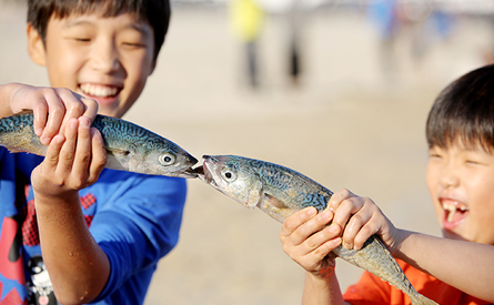 Take part in Busan Mackerel Festival 