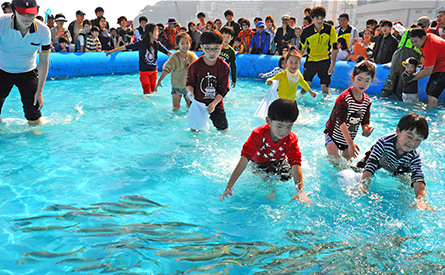 Take part in Busan Mackerel Festival 