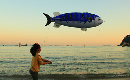 Take part in Busan Mackerel Festival 