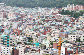 부민동