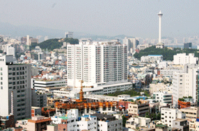 부민동