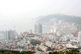 부민동