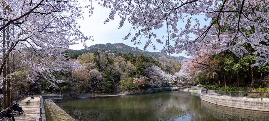 대신공원