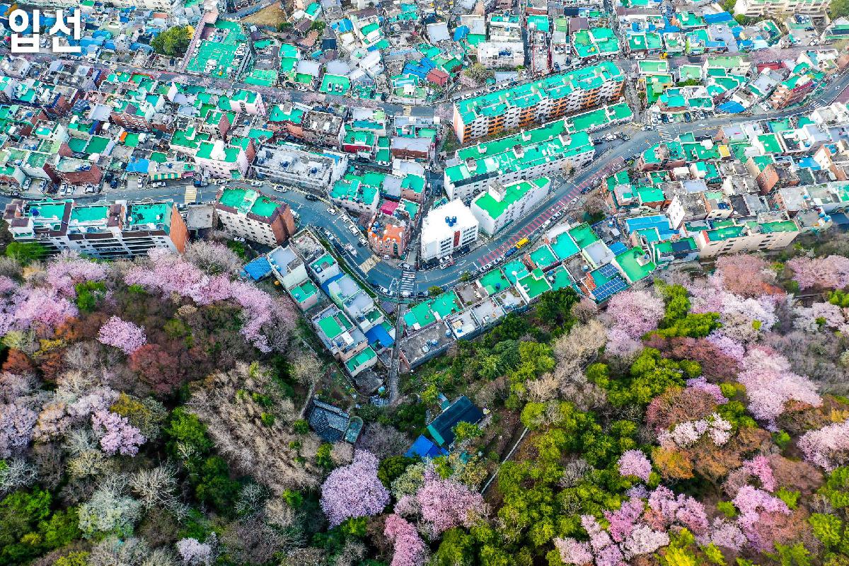 2020 제2회 부산 서구 관광사진 전국 공모전 수상작