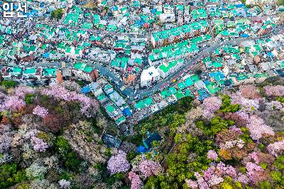 2020 제2회 부산 서구 관광사진 전국 공모전 수상작