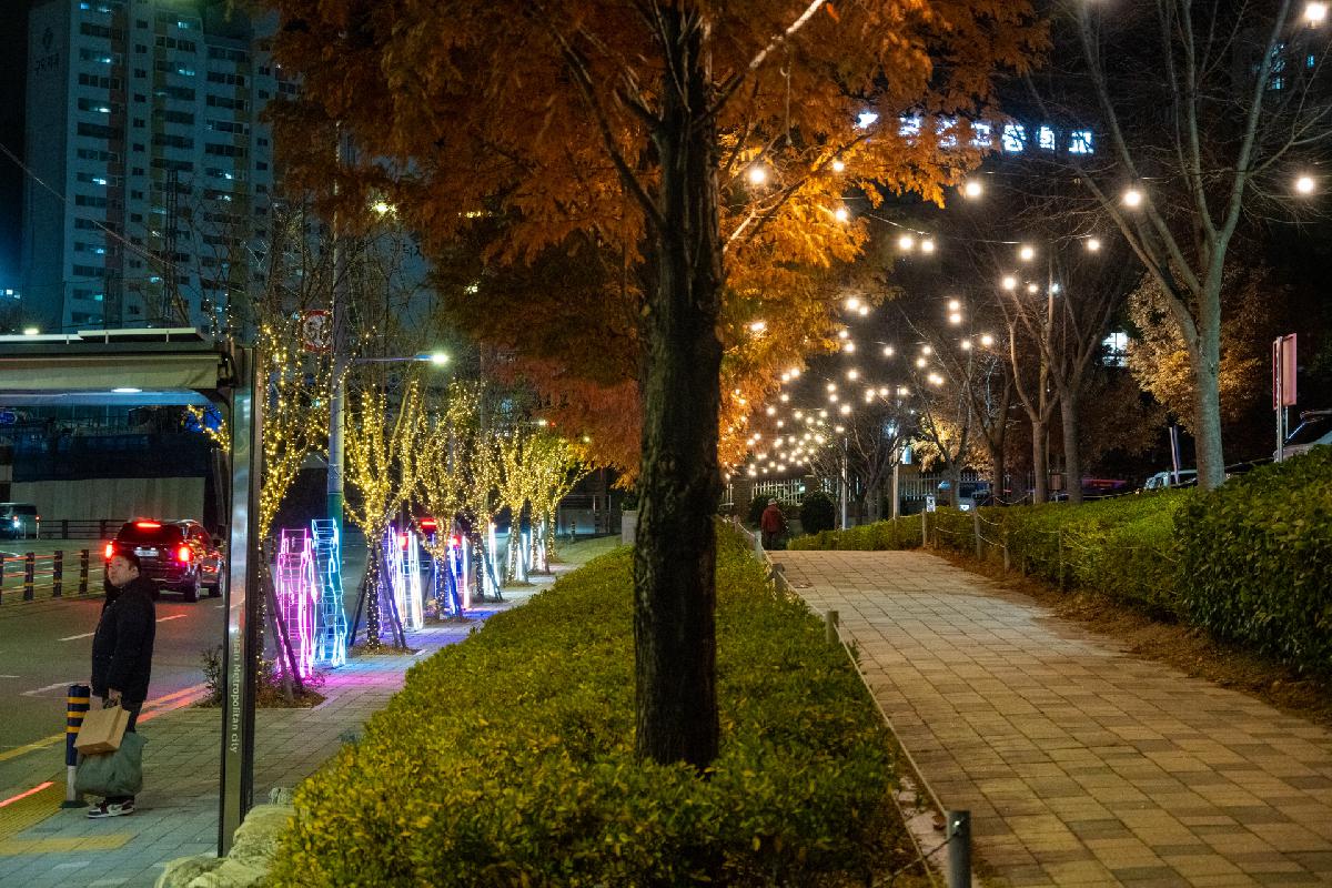 2024. 서구 희망의 빛거리
