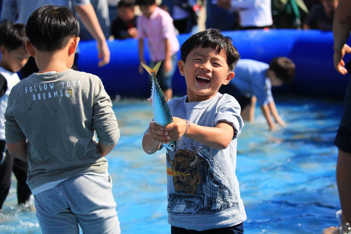 제10회 부산고등어축제