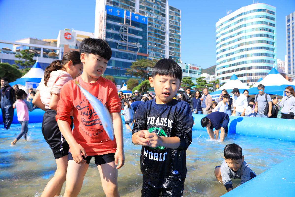 2019 제12회 고등어 축제 2일차
