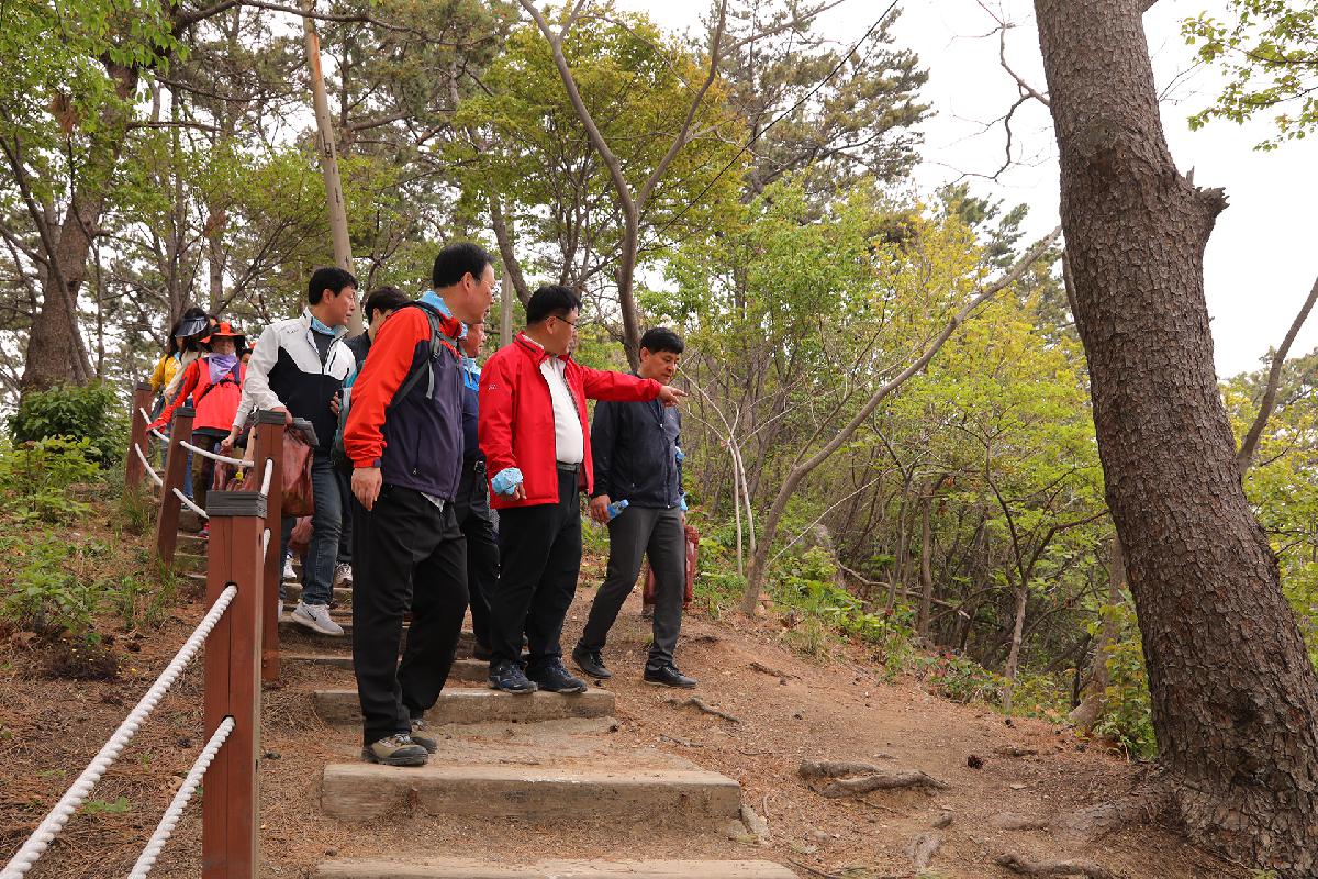2019년 서구사랑 구민건강 걷기대회