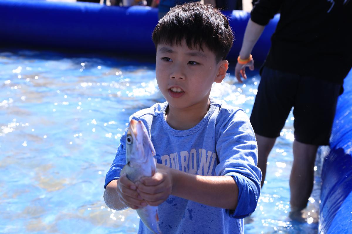 제11회 부산고등어축제_2일차