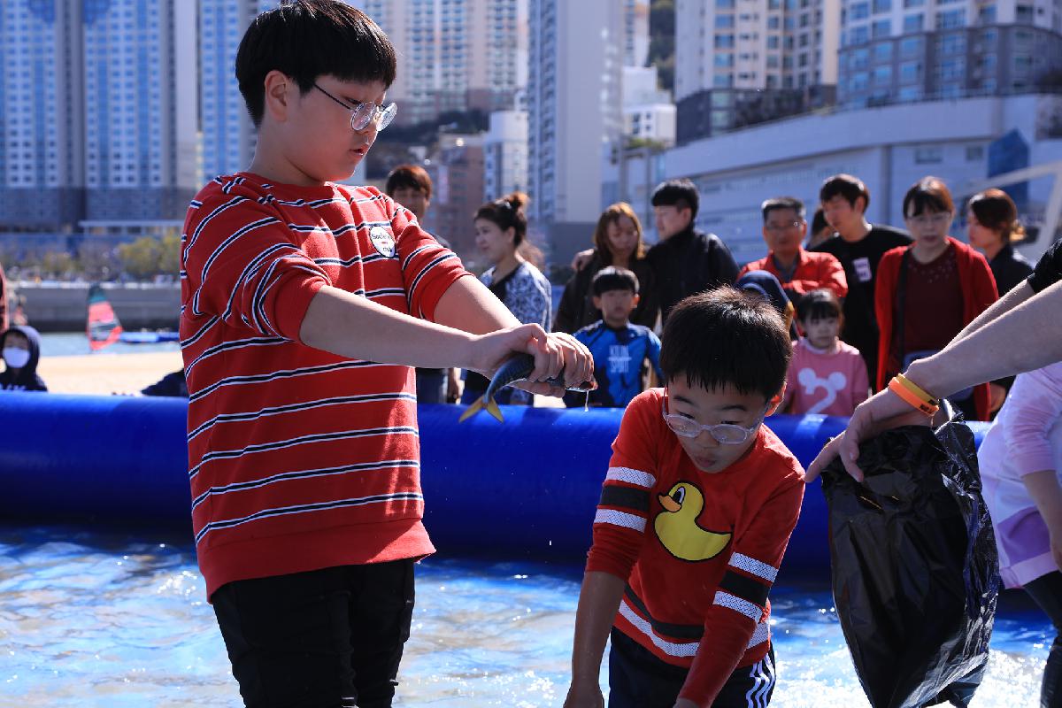 제11회 부산고등어축제_2일차