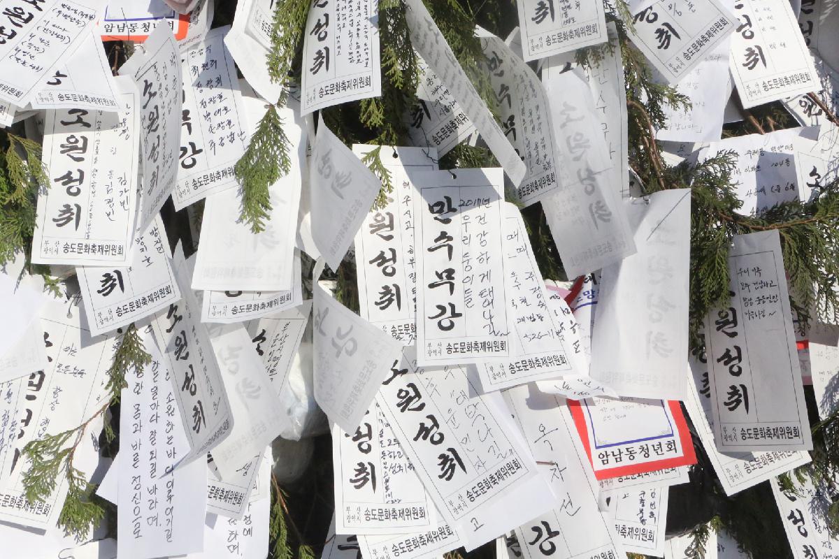 부산 송도달집축제