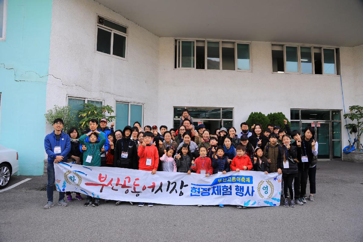 2019 제12회 고등어 축제 2일차