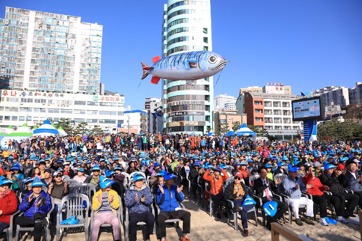 제11회 부산고등어축제_3일차
