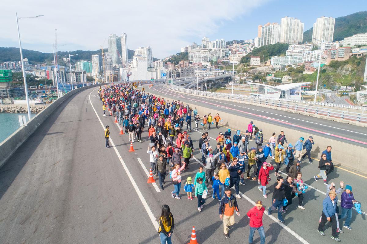 2019 제12회 고등어 축제 3일차