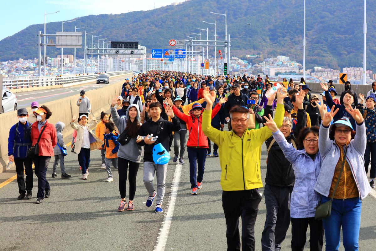 2019 제12회 고등어 축제 3일차