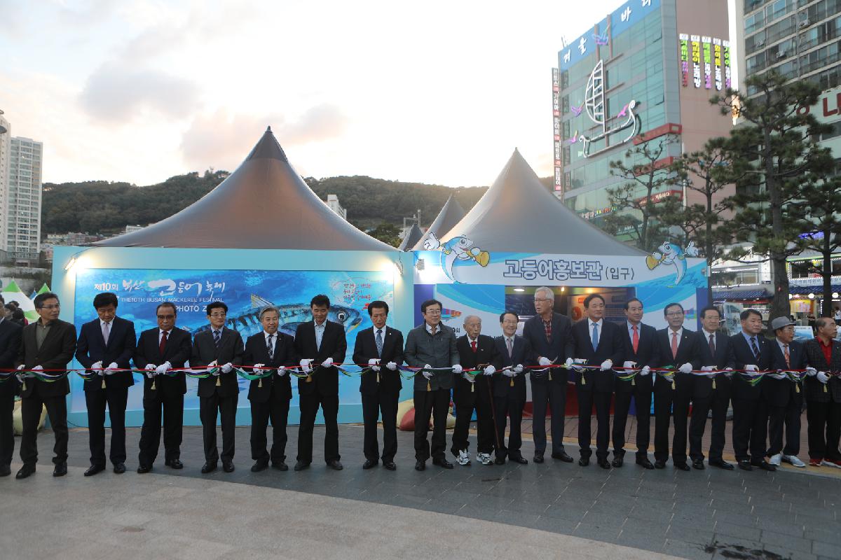 제10회 부산고등어축제