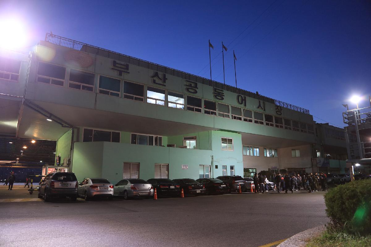 제11회 부산고등어축제_3일차