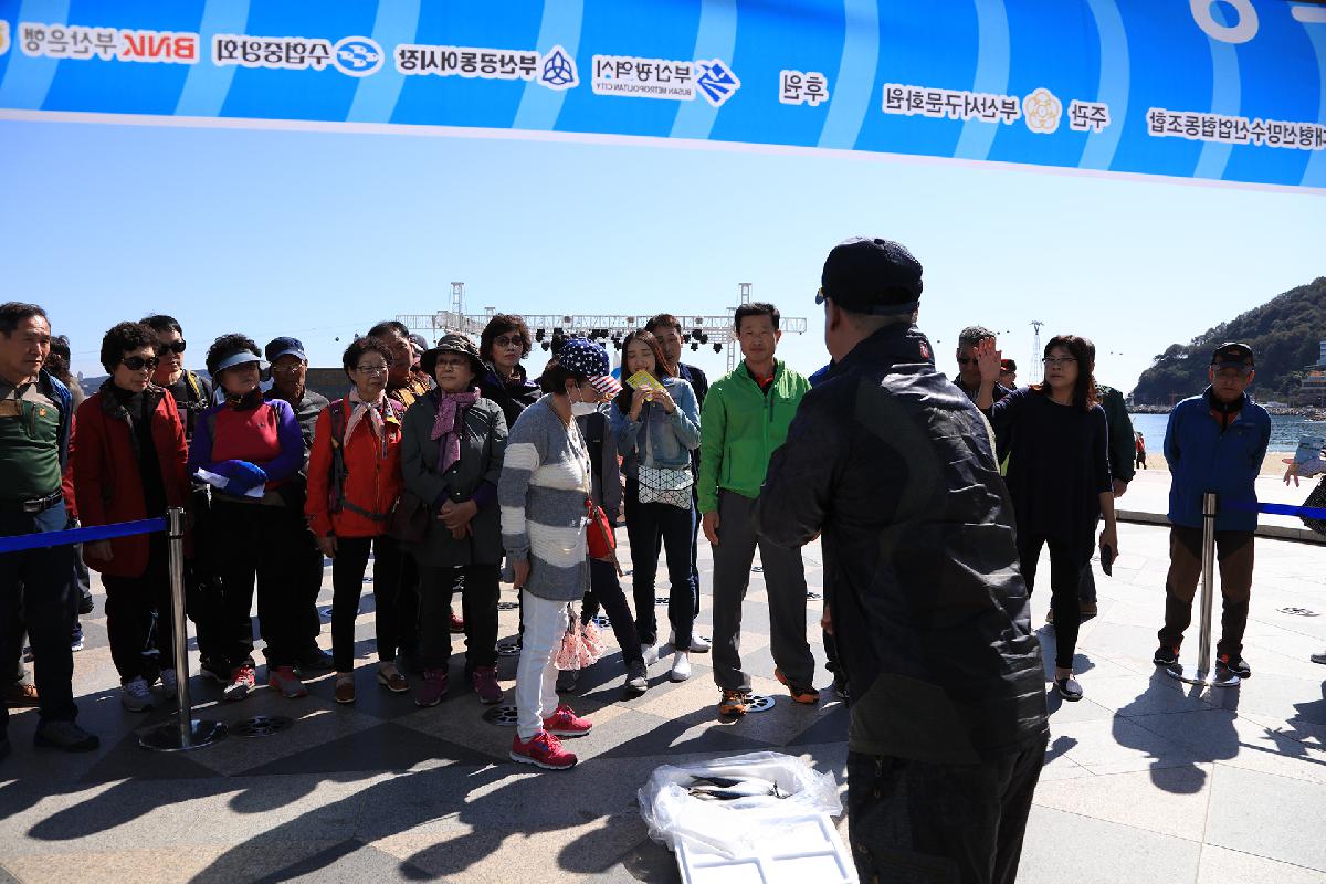 제11회 부산고등어축제_2일차