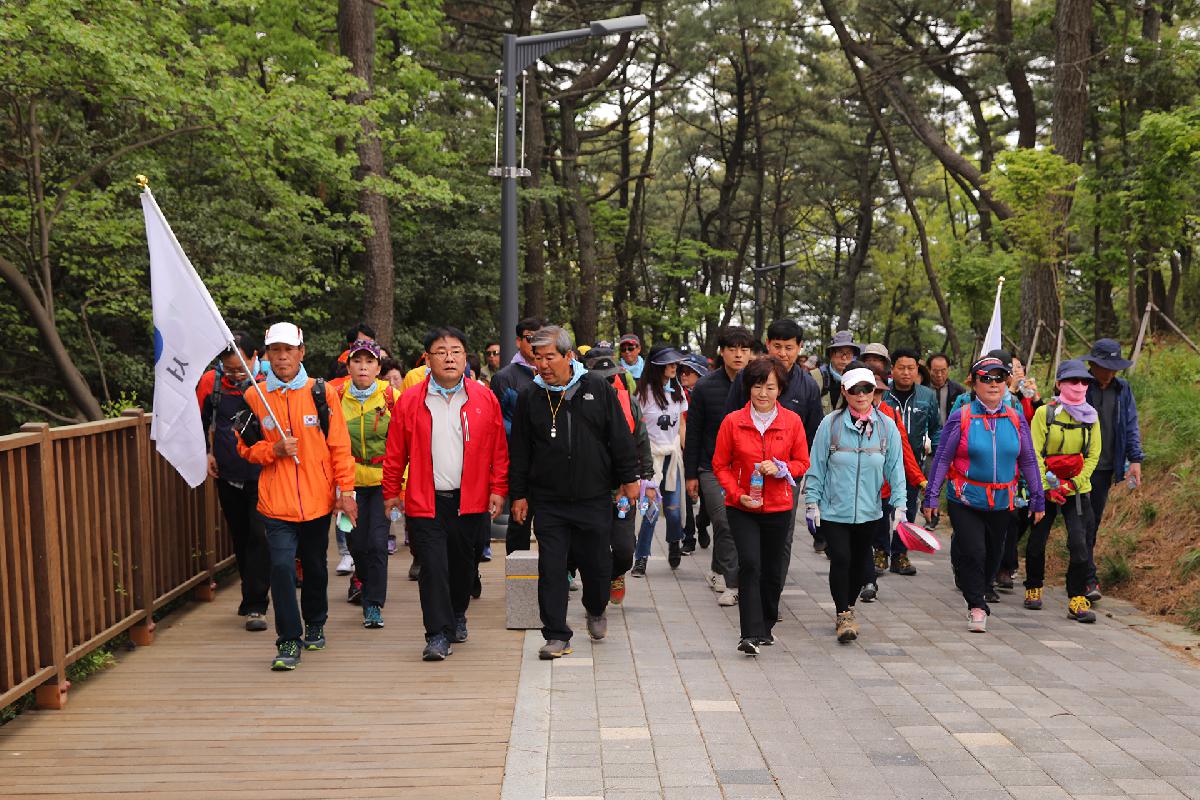 2019년 서구사랑 구민건강 걷기대회