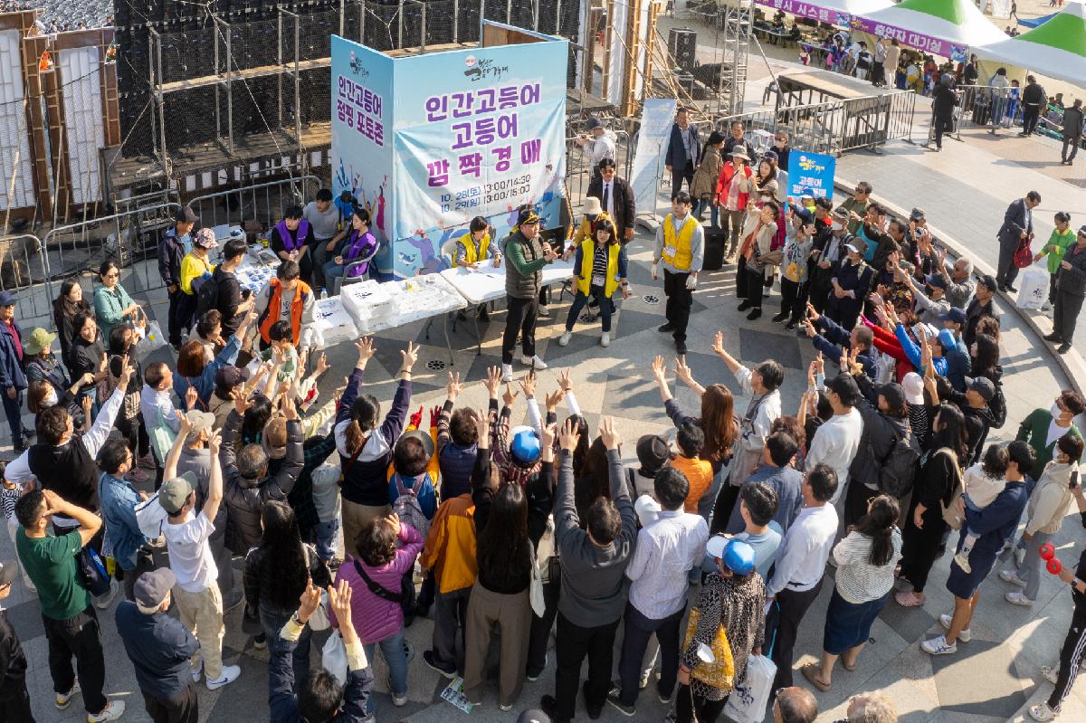 제14회 부산고등어축제 2일차