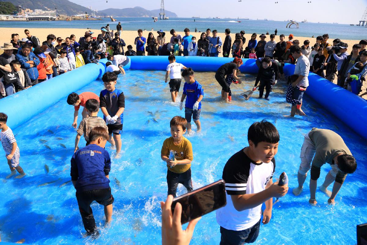 2019 제12회 고등어 축제 2일차