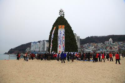 2016 송도달집축제