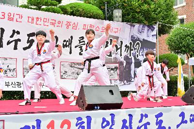 제12회 임시수도, 그때를 아십니까