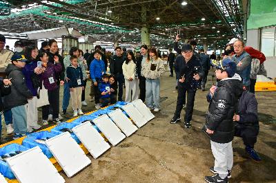 제16회 부산고등어축제 2일차