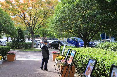 2019 딱! 살기 좋은 서구 은빛 축제
