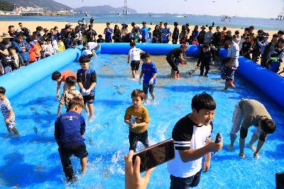 2019 제12회 고등어 축제 2일차