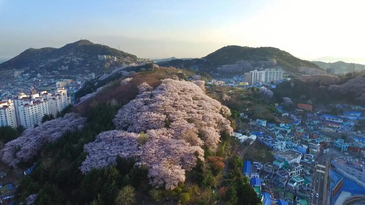 하늘에서 본 서구 - 서구 홍보영상