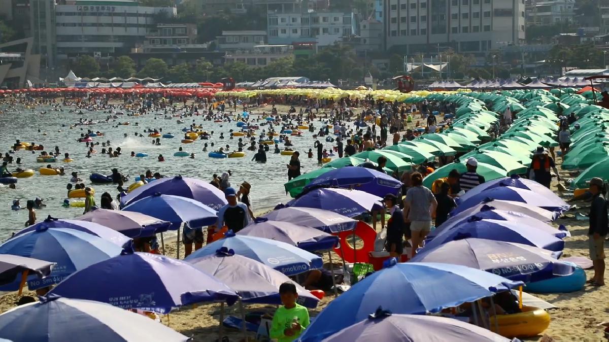 하늘에서 본 서구 - 서구 홍보영상