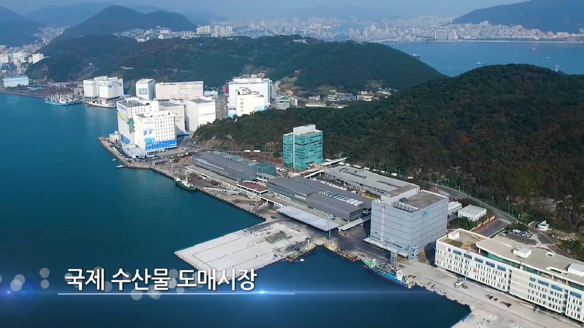 하늘에서 본 서구 - 서구 홍보영상