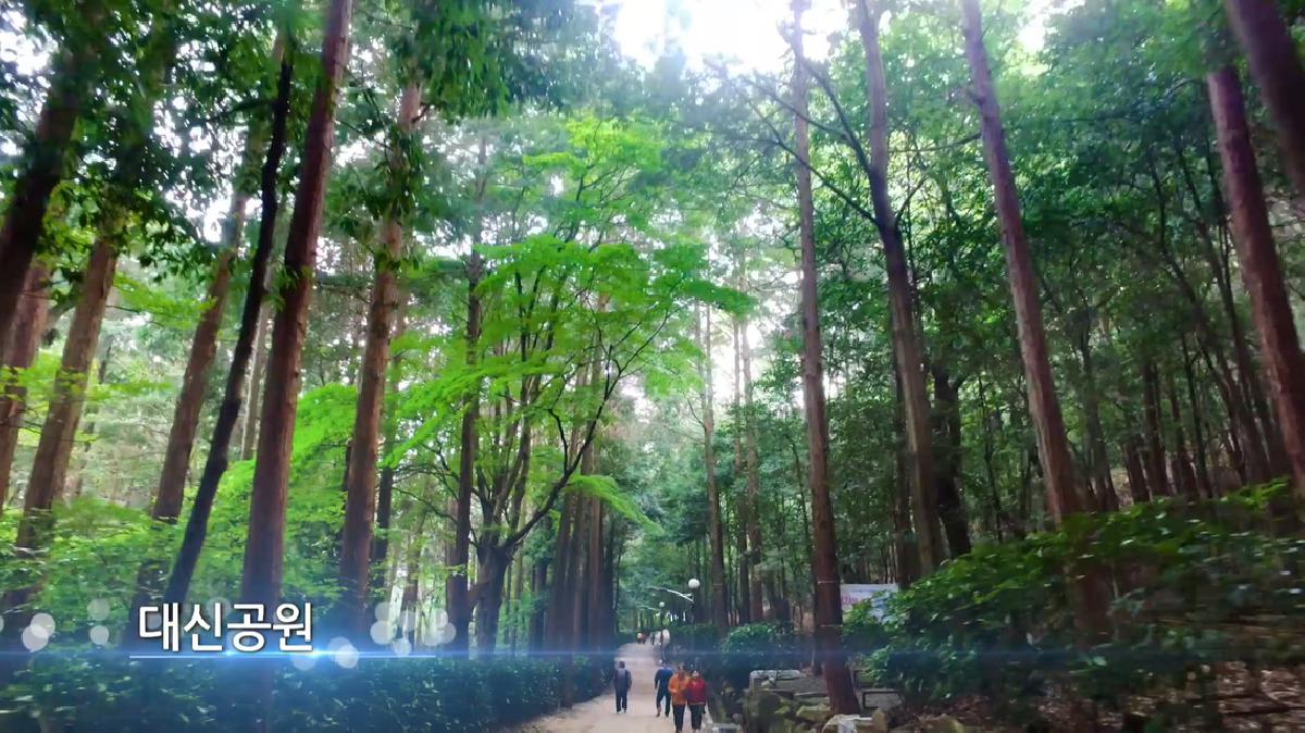 하늘에서 본 서구 - 서구 홍보영상