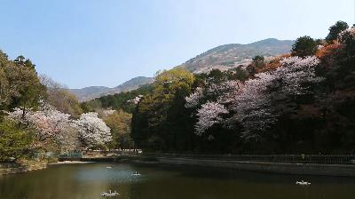 하늘에서 본 서구 - 서구 홍보영상