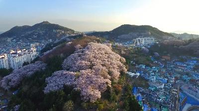 하늘에서 본 서구 - 서구 홍보영상