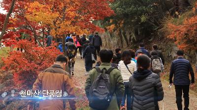 하늘에서 본 서구 - 서구 홍보영상