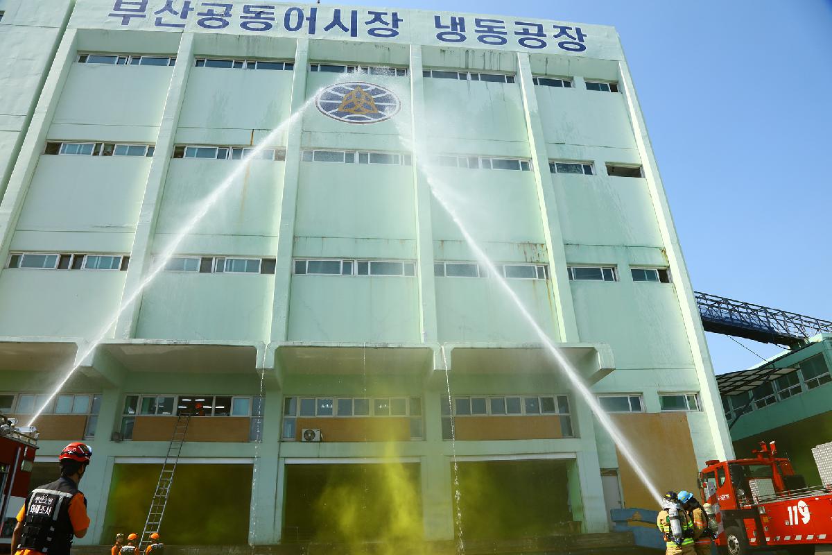 2016 재난대응 안전한국훈련