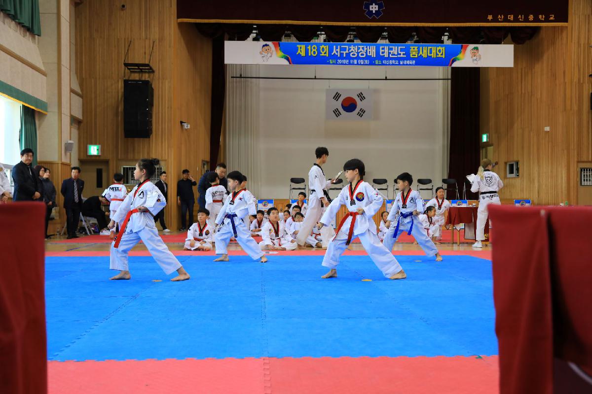 2019 제18회 부산광역시 서구청장배 태권도 대회