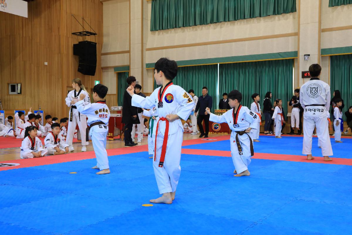 2019 제18회 부산광역시 서구청장배 태권도 대회