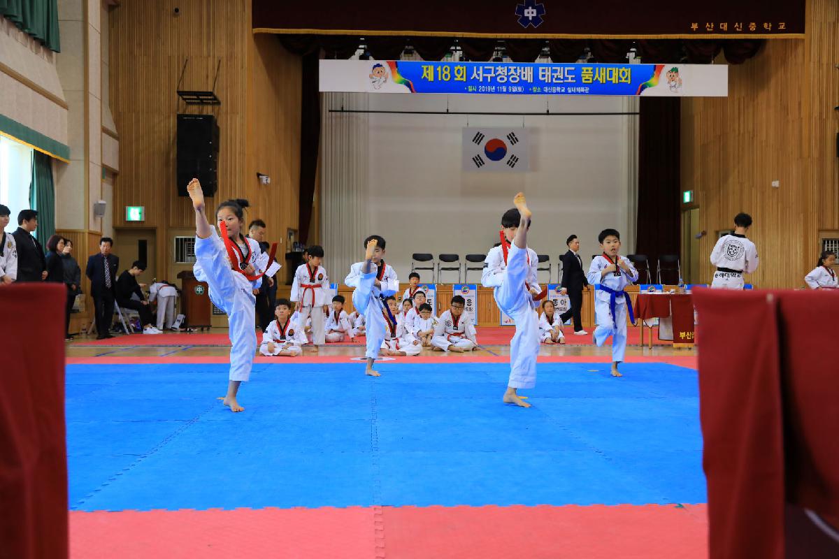 2019 제18회 부산광역시 서구청장배 태권도 대회