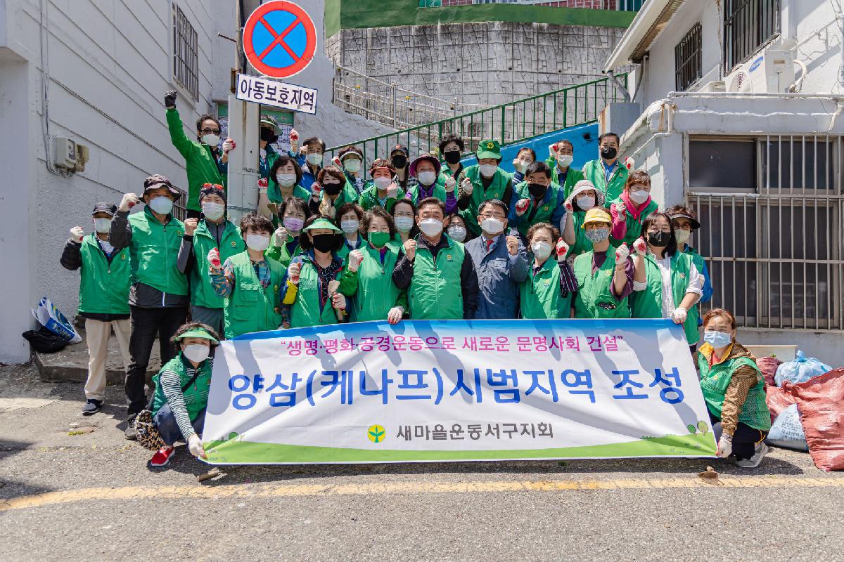 2020 양삼(케나프) 시범지역 조성