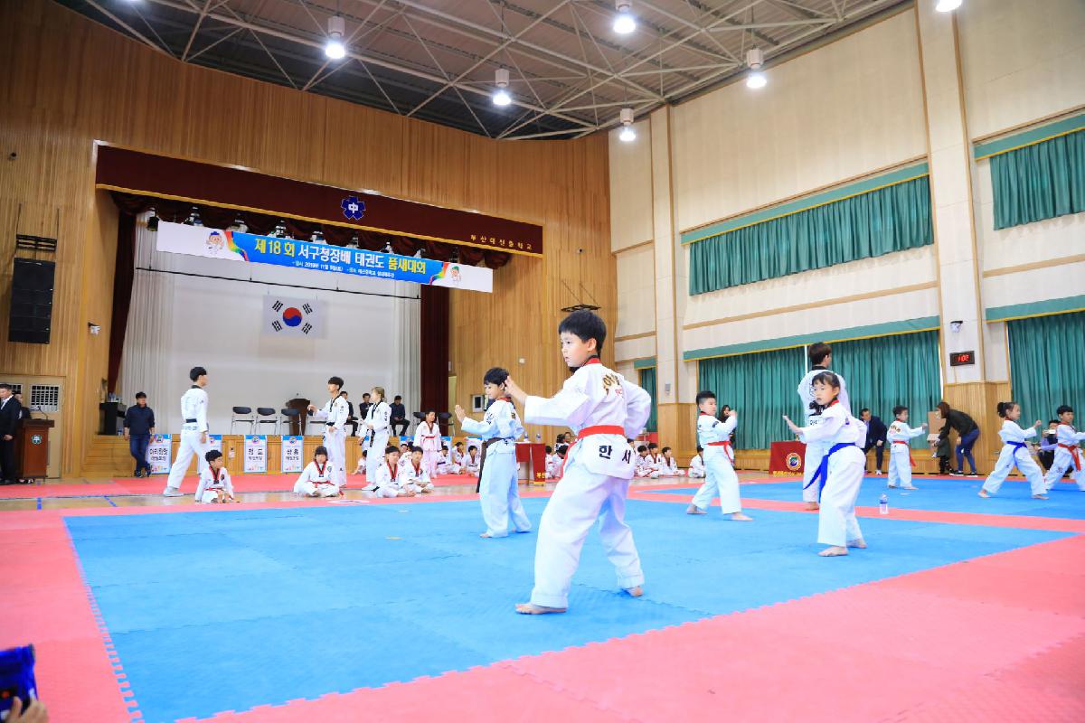 2019 제18회 부산광역시 서구청장배 태권도 대회