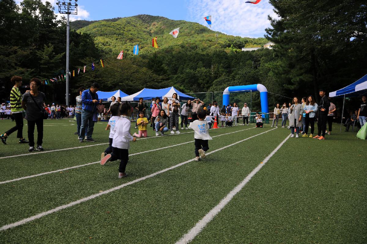 2019 서구 민간가정어린이집 가족운동회