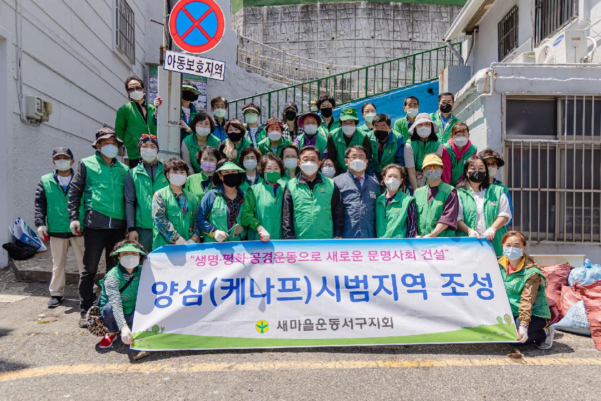 2020 양삼(케나프) 시범지역 조성