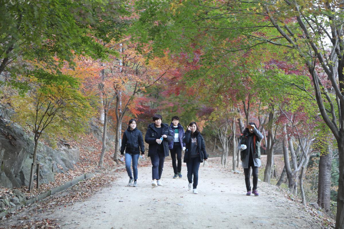 천마산 단풍걷기