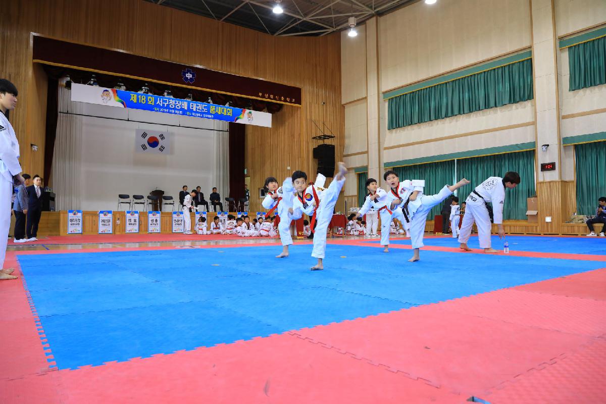 2019 제18회 부산광역시 서구청장배 태권도 대회