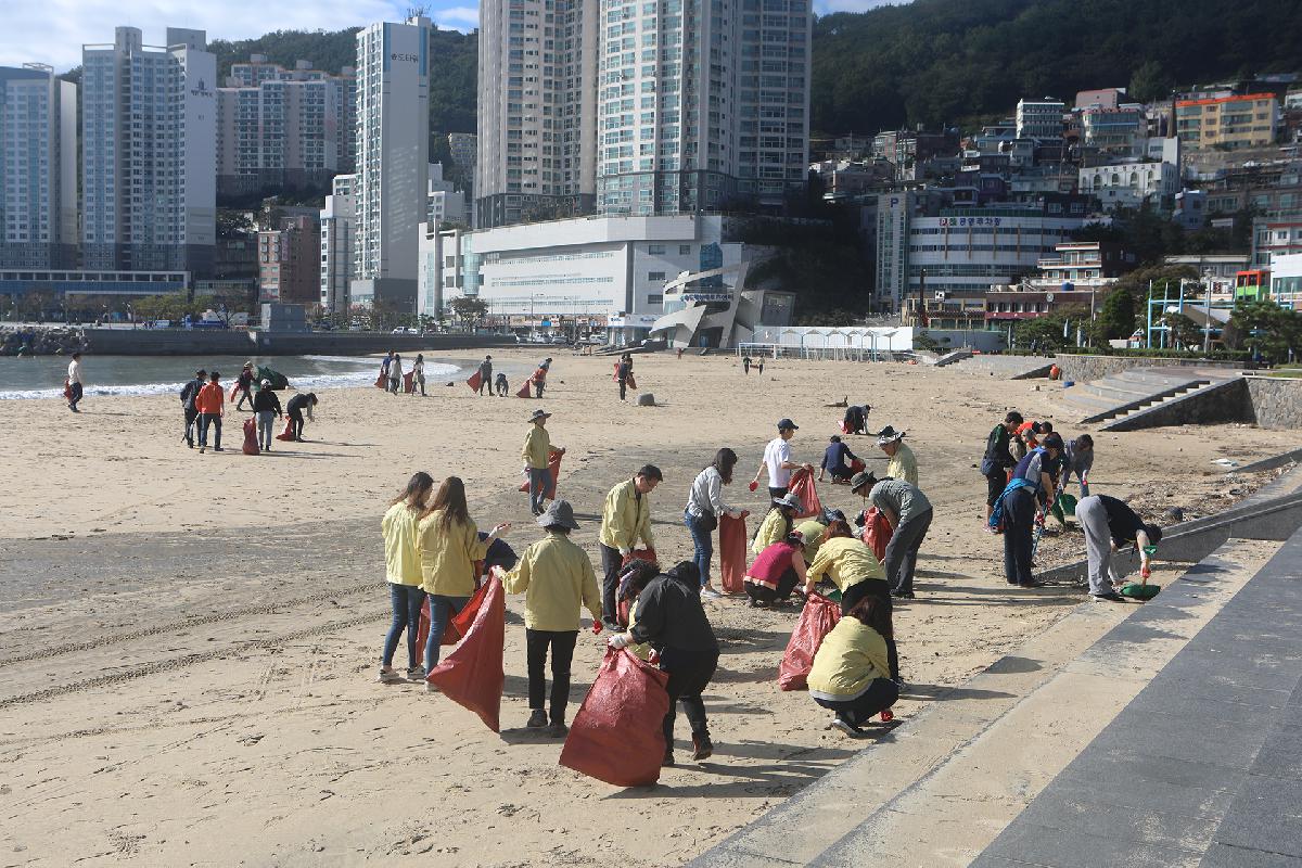 송도해수욕장 태풍 피해복구지원