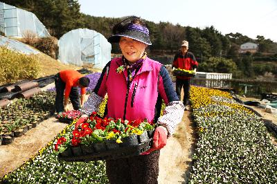 사진
